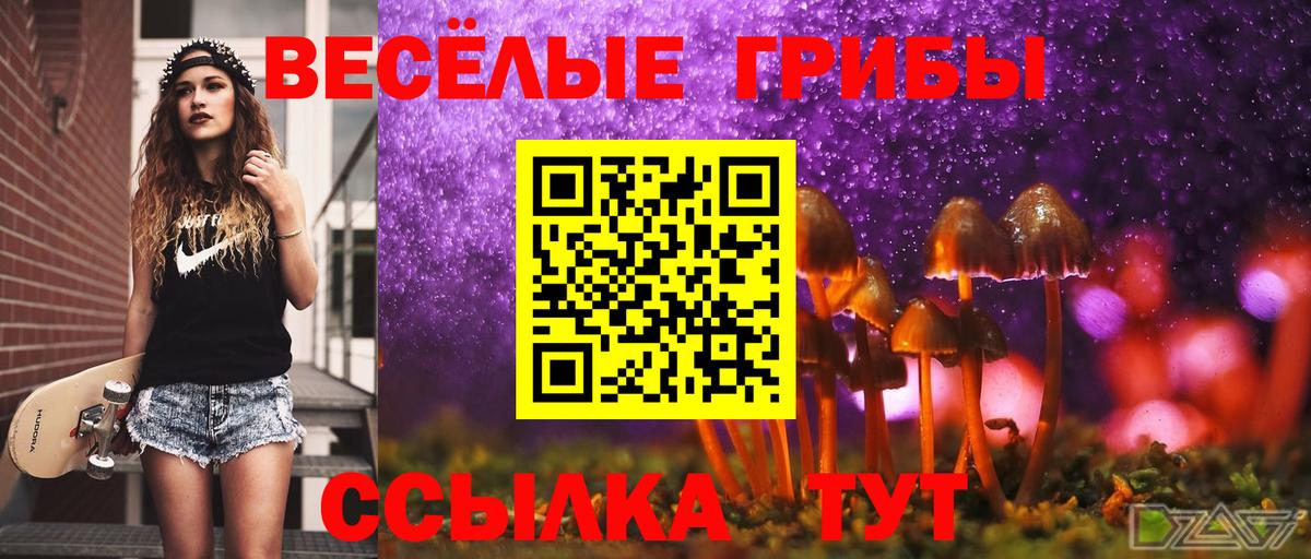 Галлюциногенные грибы прущие грибы Гулькевичи