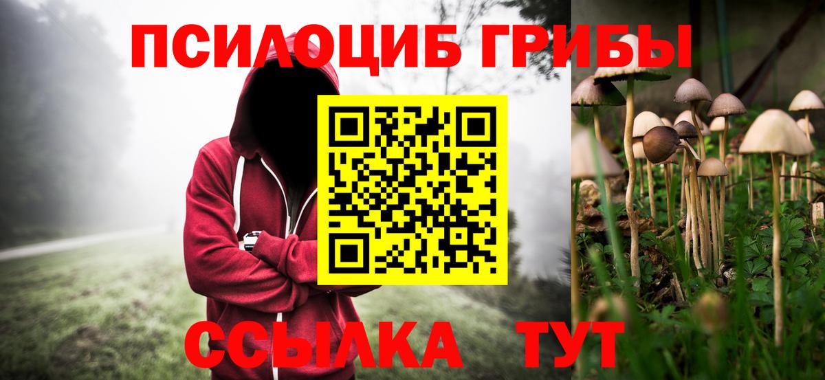 как найти наркотики  Псилоцибиновые грибы Psilocybe  Вход с VPN  Гулькевичи 
